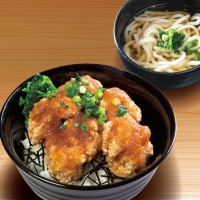 とりからおろし丼ミニうどんセット